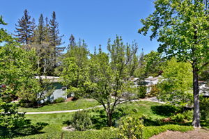 3341 Tice Creek Dr 2, Walnut Creek, CA 94595, US Photo 19