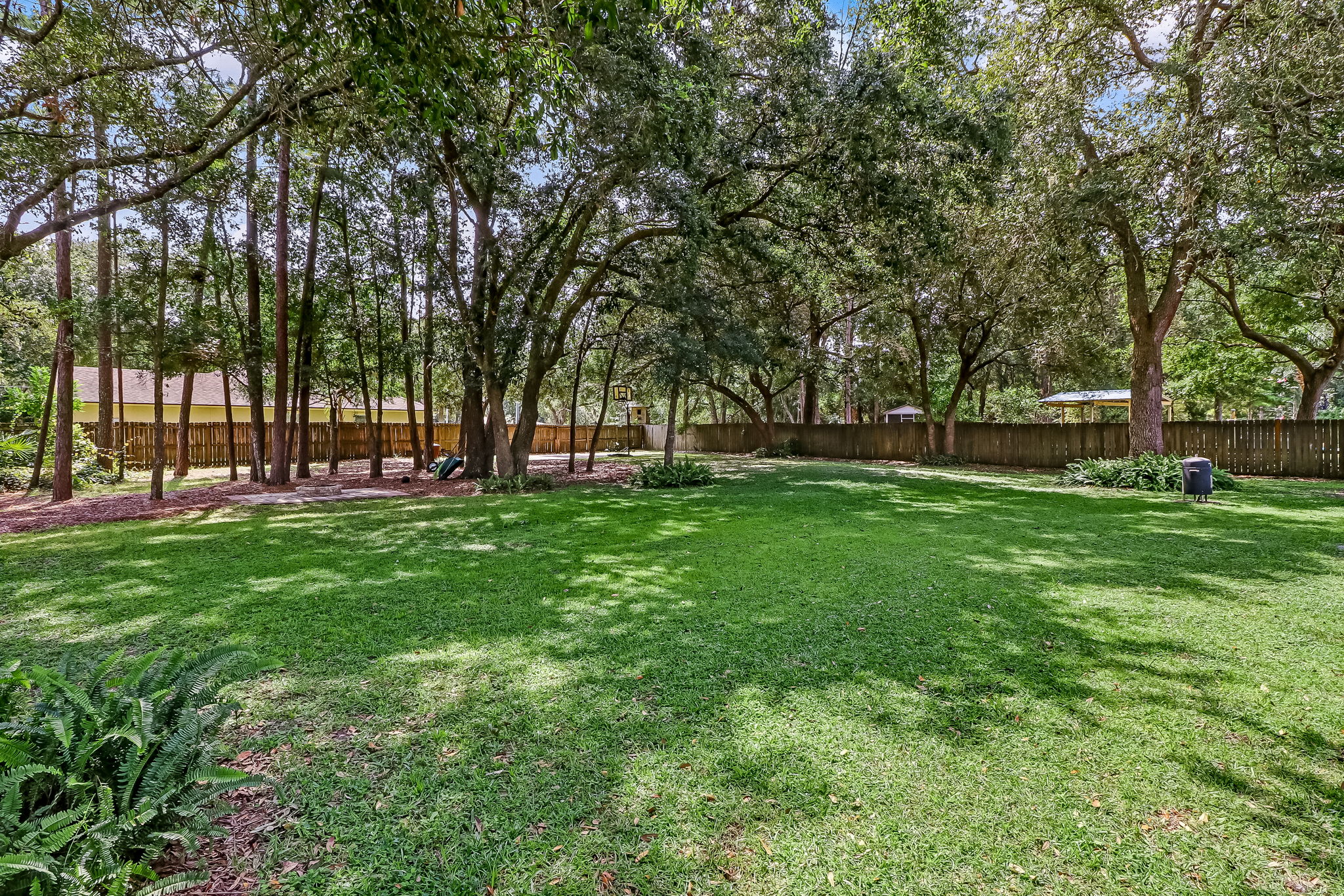 Backyard