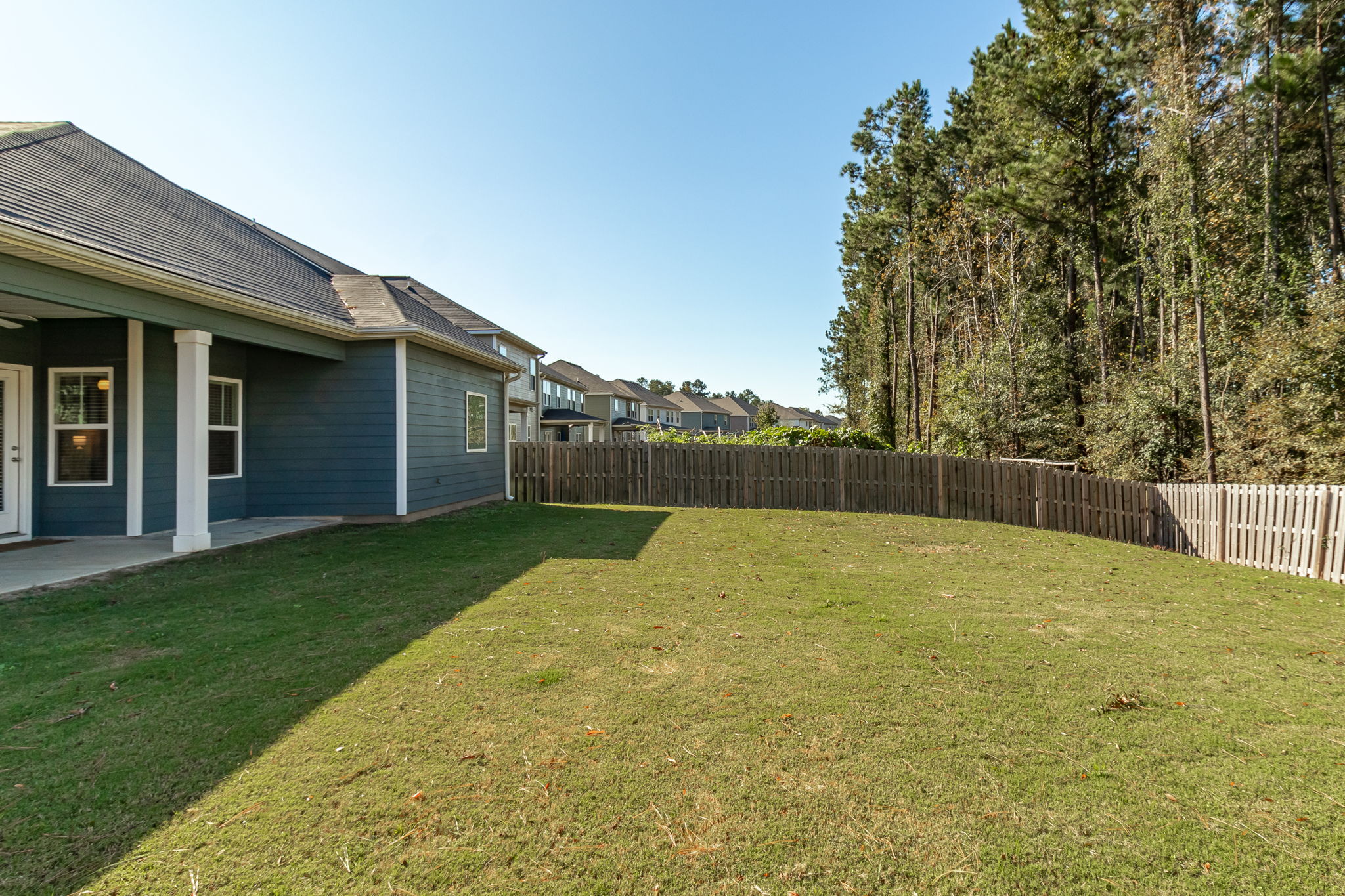 Back Yard