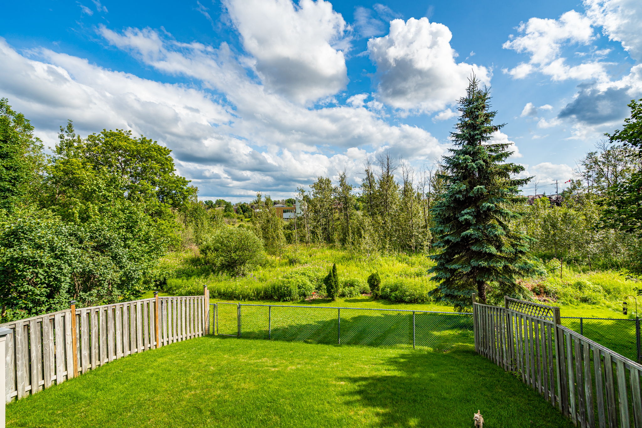 430 Scott Dr, Orangeville, ON L9W 4L9, CA Photo 43