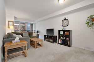 9 Michael Power Pl Unit 206, Etobicoke, ON M9A 0A5, CA Photo 8