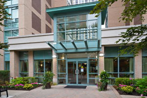 9 Michael Power Pl Unit 206, Etobicoke, ON M9A 0A5, CA Photo 1