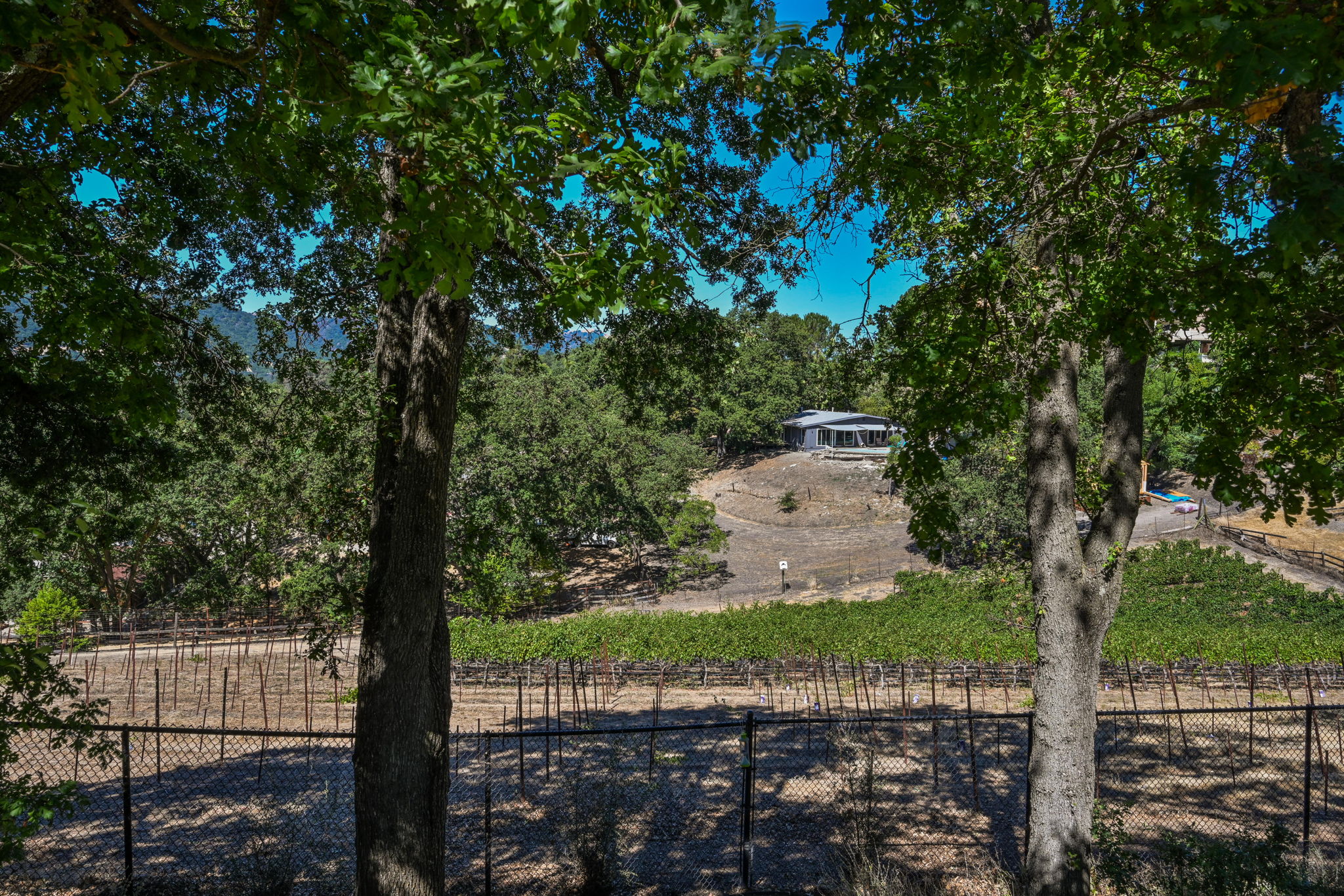 63 Cumberland Ct, Danville, CA 94526, US Photo 35