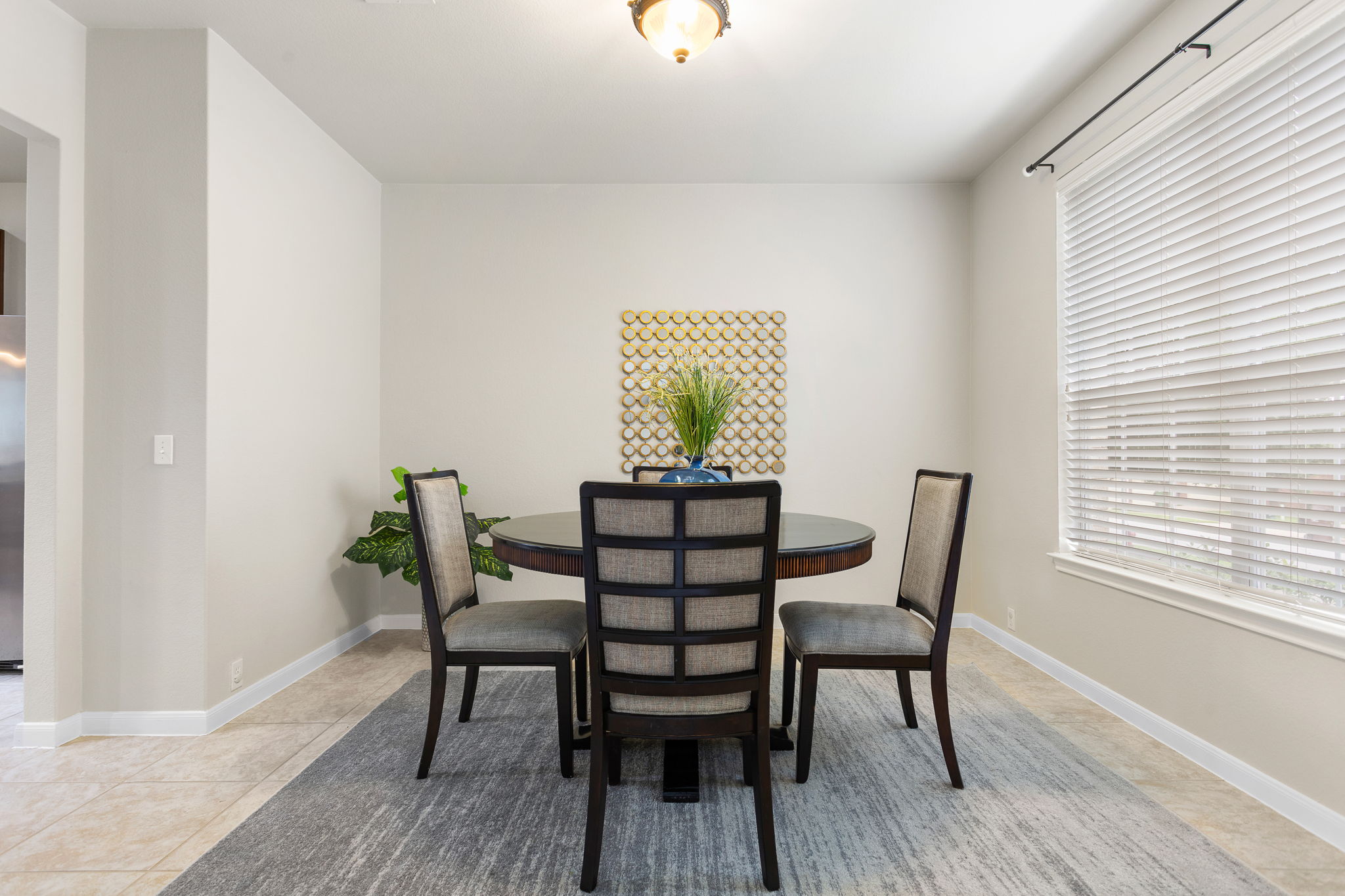 3428 Shiraz Loop, Round Rock, TX 78665, USA Photo 18