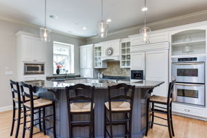 461 Phillips Ave, Glen Ellyn, IL 60137, US Photo 44