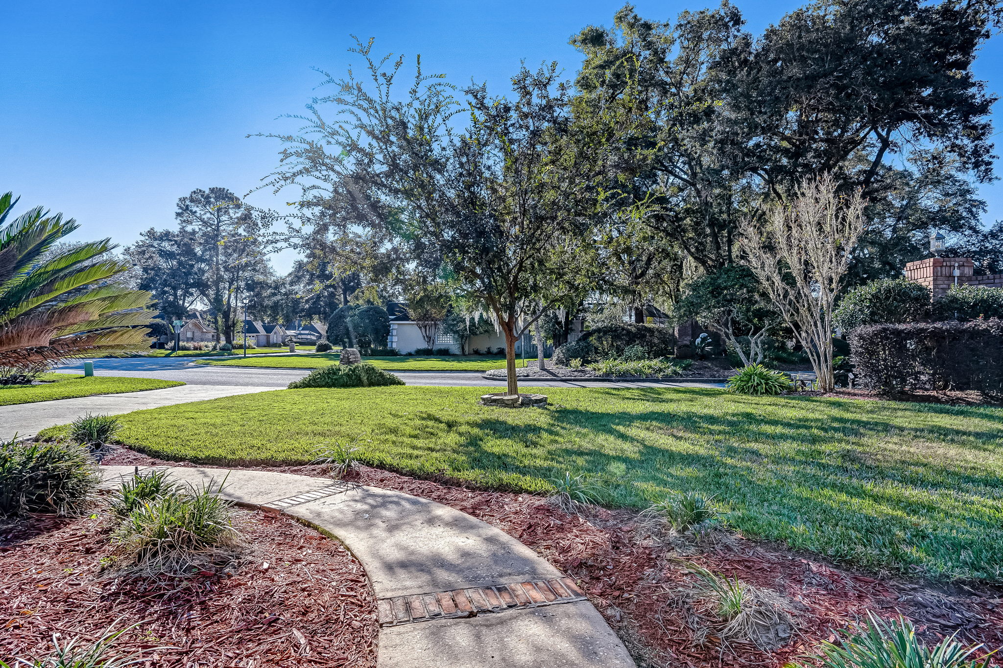 Front Yard