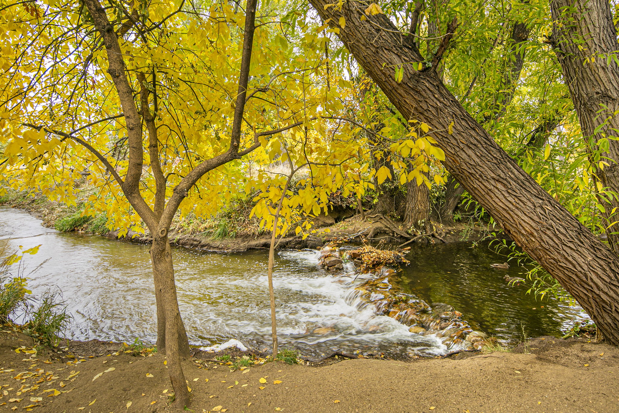 3250 Oneal Cir #J37, Boulder, CO 80301, US Photo 31