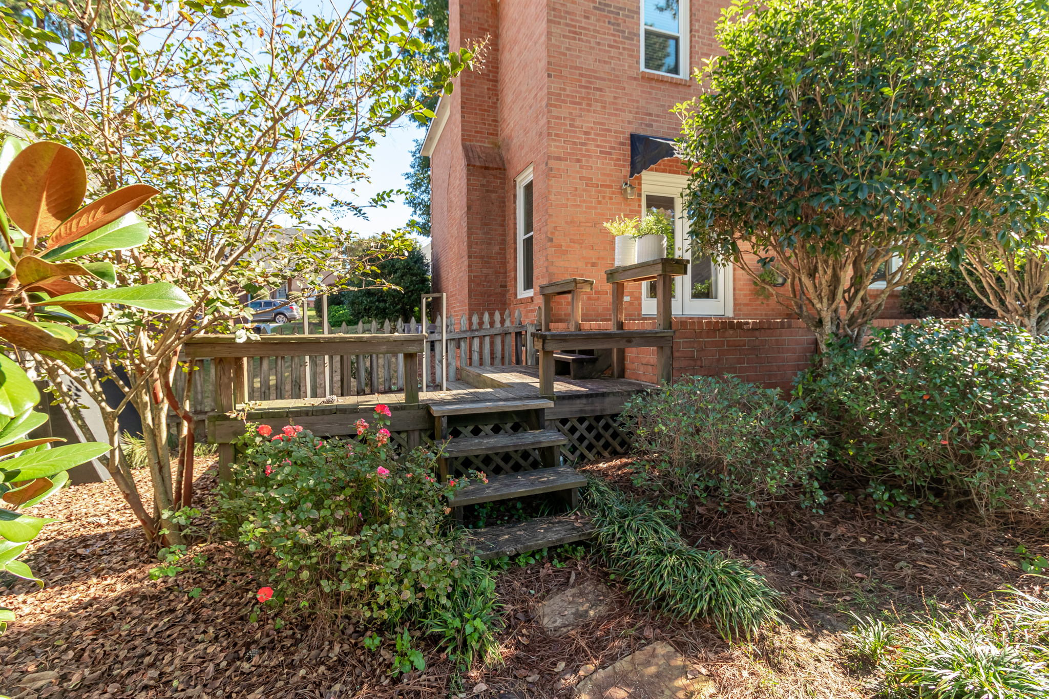 Back Deck