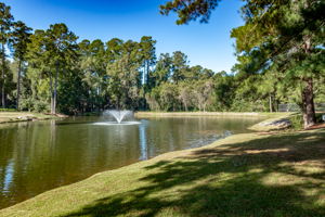 Community Pond