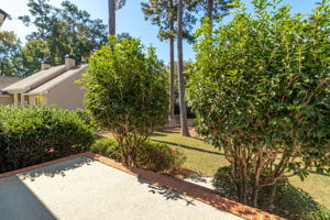 Back Patio
