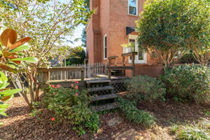 Back Deck