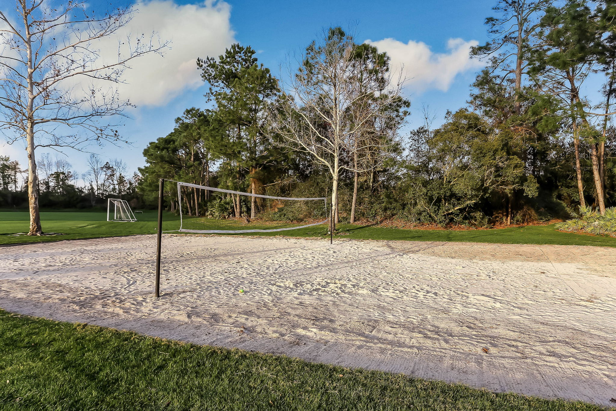 Volleyball Court
