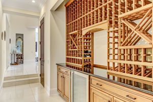 Wine Storage & Wine Chiller