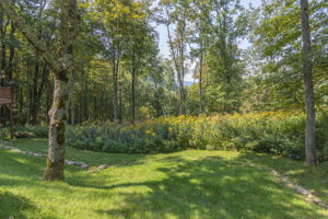 1755 Odalu Trail, Maggie Valley, NC 28751, USA Photo 27
