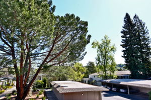 1372 Rockledge Ln 8, Walnut Creek, CA 94595, US Photo 23