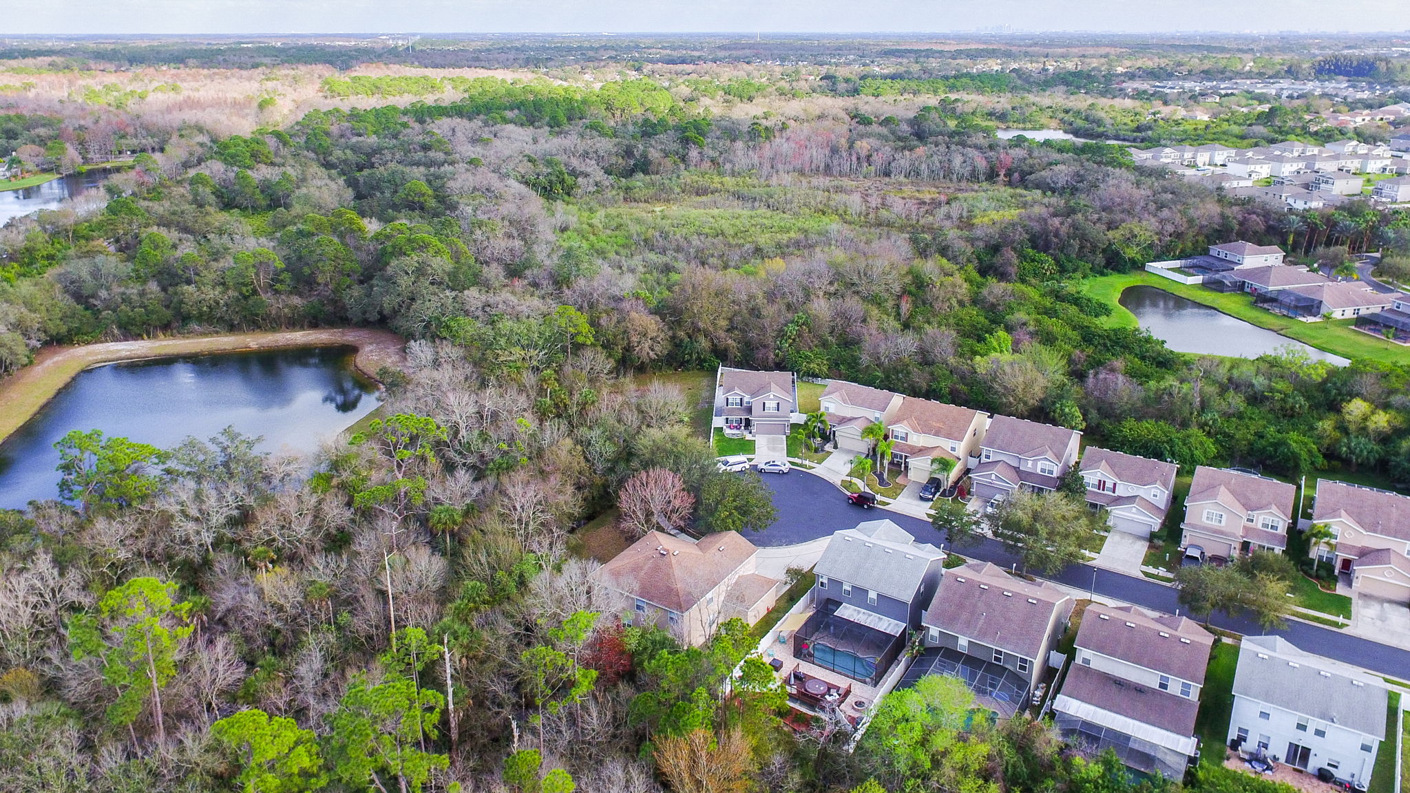 12505 Bay Branch Ct, Tampa, FL 33635, US Photo 56