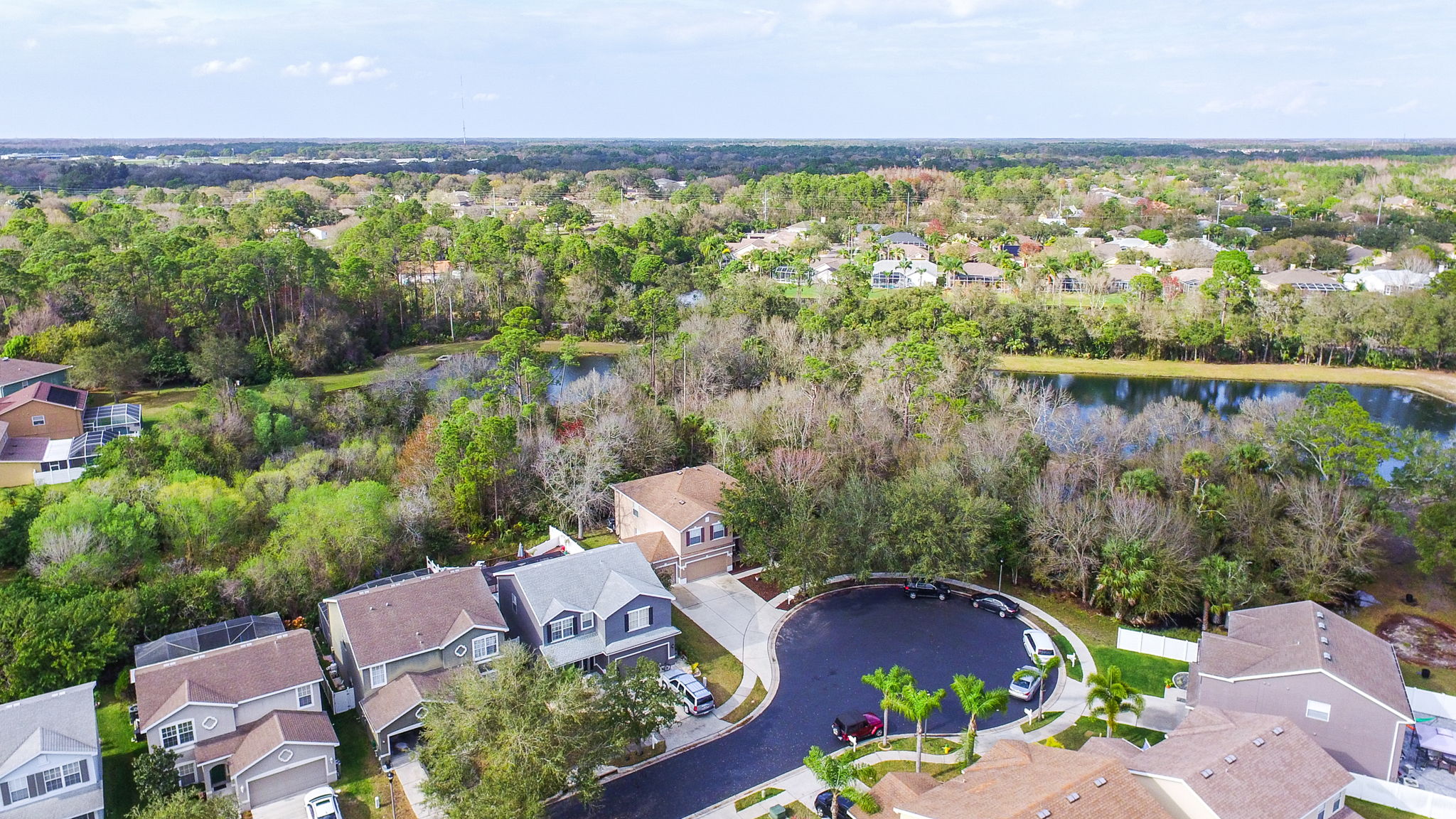 12505 Bay Branch Ct, Tampa, FL 33635, US Photo 53