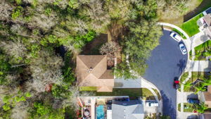 12505 Bay Branch Ct, Tampa, FL 33635, US Photo 53