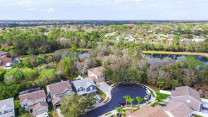 12505 Bay Branch Ct, Tampa, FL 33635, US Photo 52