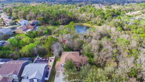 12505 Bay Branch Ct, Tampa, FL 33635, US Photo 51