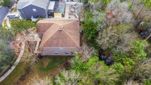 12505 Bay Branch Ct, Tampa, FL 33635, US Photo 59