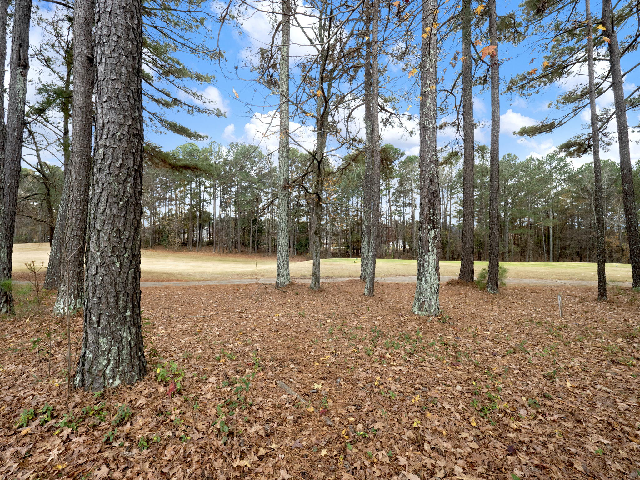 60 Bellerive Ln SE, Covington, GA 30014, USA Photo 32