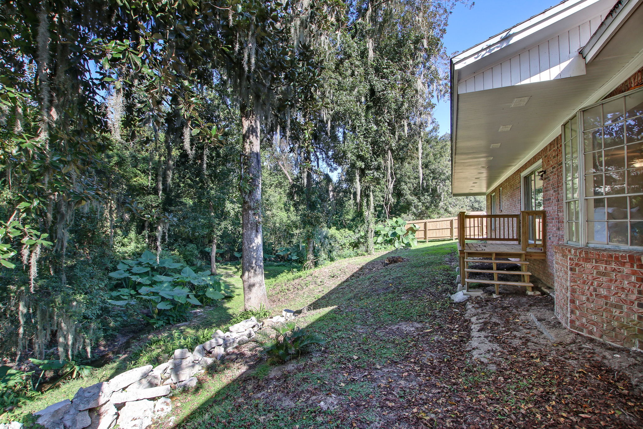 Back Yard