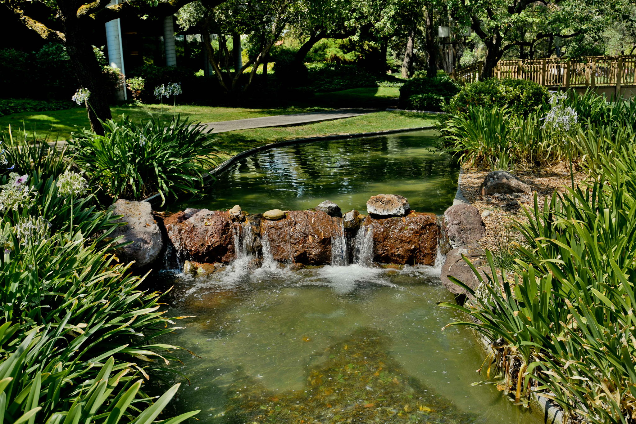 300 N Civic Dr 507, Walnut Creek, CA 94596, US Photo 24