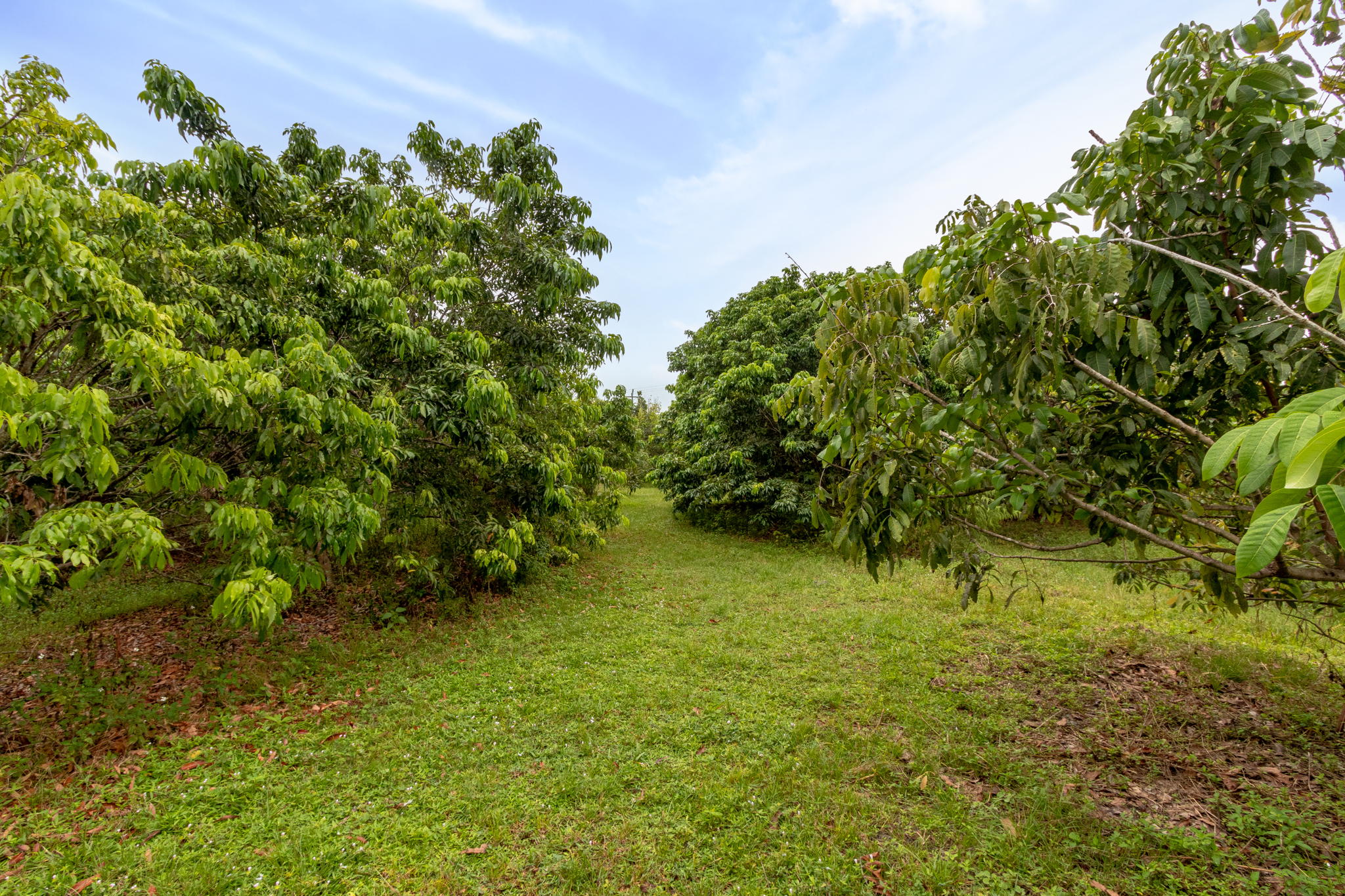 14100 Stringfellow Rd, Bokeelia, FL 33922, USA Photo 20