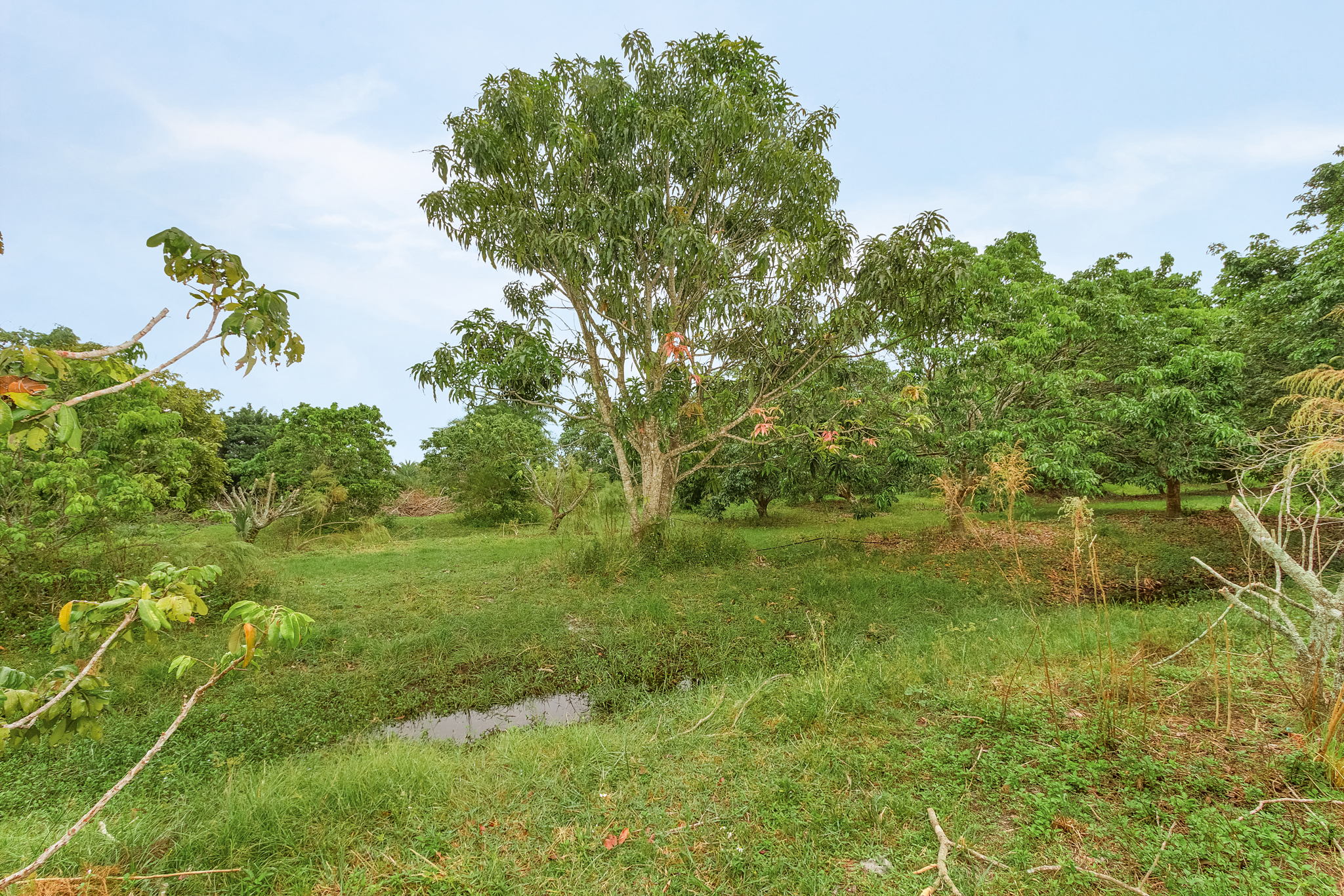 14100 Stringfellow Rd, Bokeelia, FL 33922, USA Photo 19