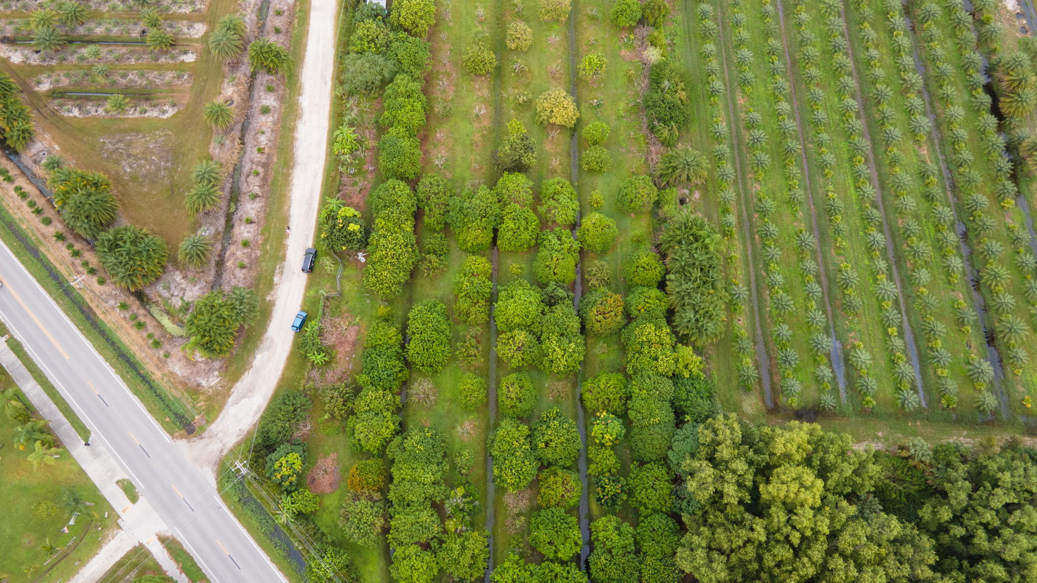 14100 Stringfellow Rd, Bokeelia, FL 33922, USA Photo 14