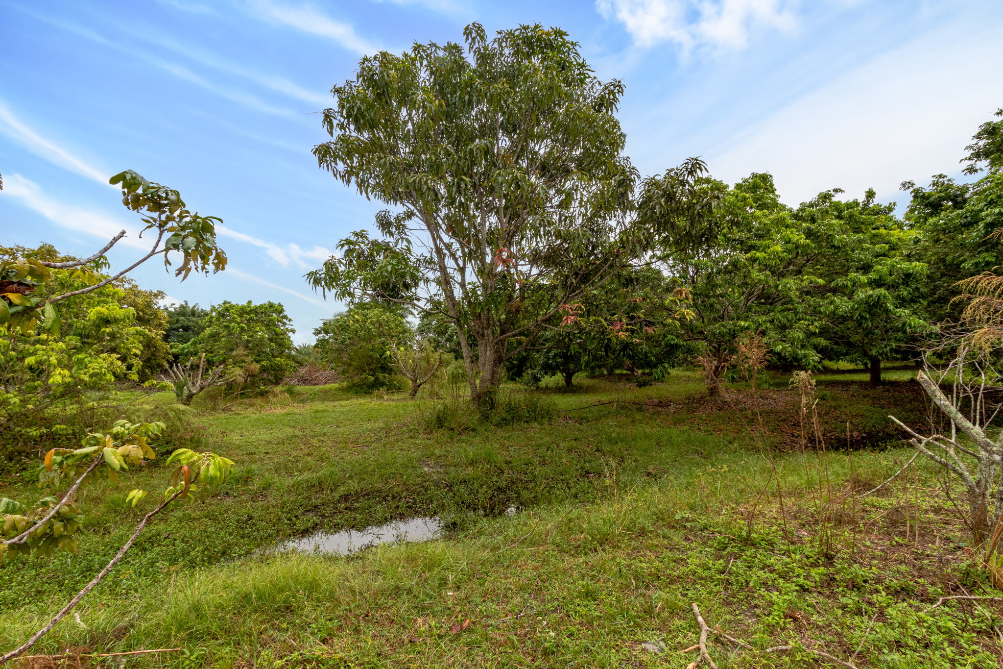 14100 Stringfellow Rd, Bokeelia, FL 33922, USA Photo 18