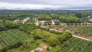 14100 Stringfellow Rd, Bokeelia, FL 33922, USA Photo 4