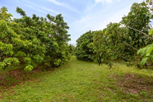 14100 Stringfellow Rd, Bokeelia, FL 33922, USA Photo 19