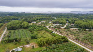 14100 Stringfellow Rd, Bokeelia, FL 33922, USA Photo 5