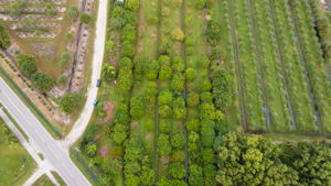 14100 Stringfellow Rd, Bokeelia, FL 33922, USA Photo 13