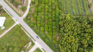 14100 Stringfellow Rd, Bokeelia, FL 33922, USA Photo 12