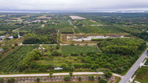 14100 Stringfellow Rd, Bokeelia, FL 33922, USA Photo 9