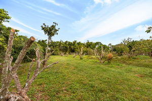 14100 Stringfellow Rd, Bokeelia, FL 33922, USA Photo 16