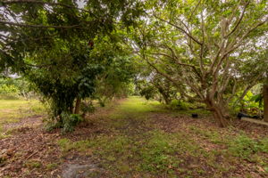 14100 Stringfellow Rd, Bokeelia, FL 33922, USA Photo 15