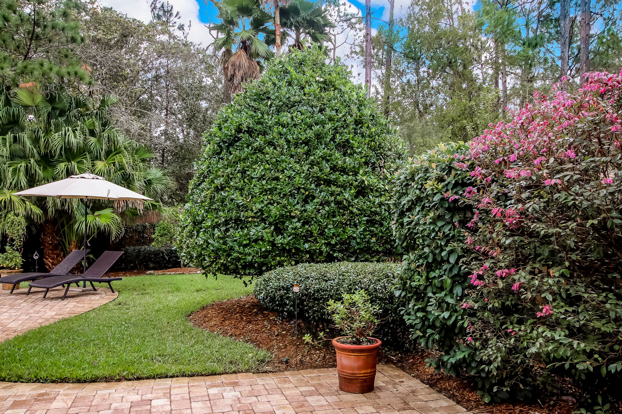12191 Silver Saddle Dr, Jacksonville, FL 32258, US Photo 35