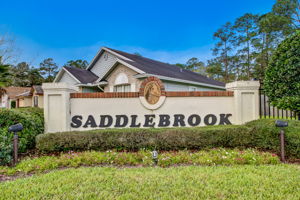 Saddlebrook