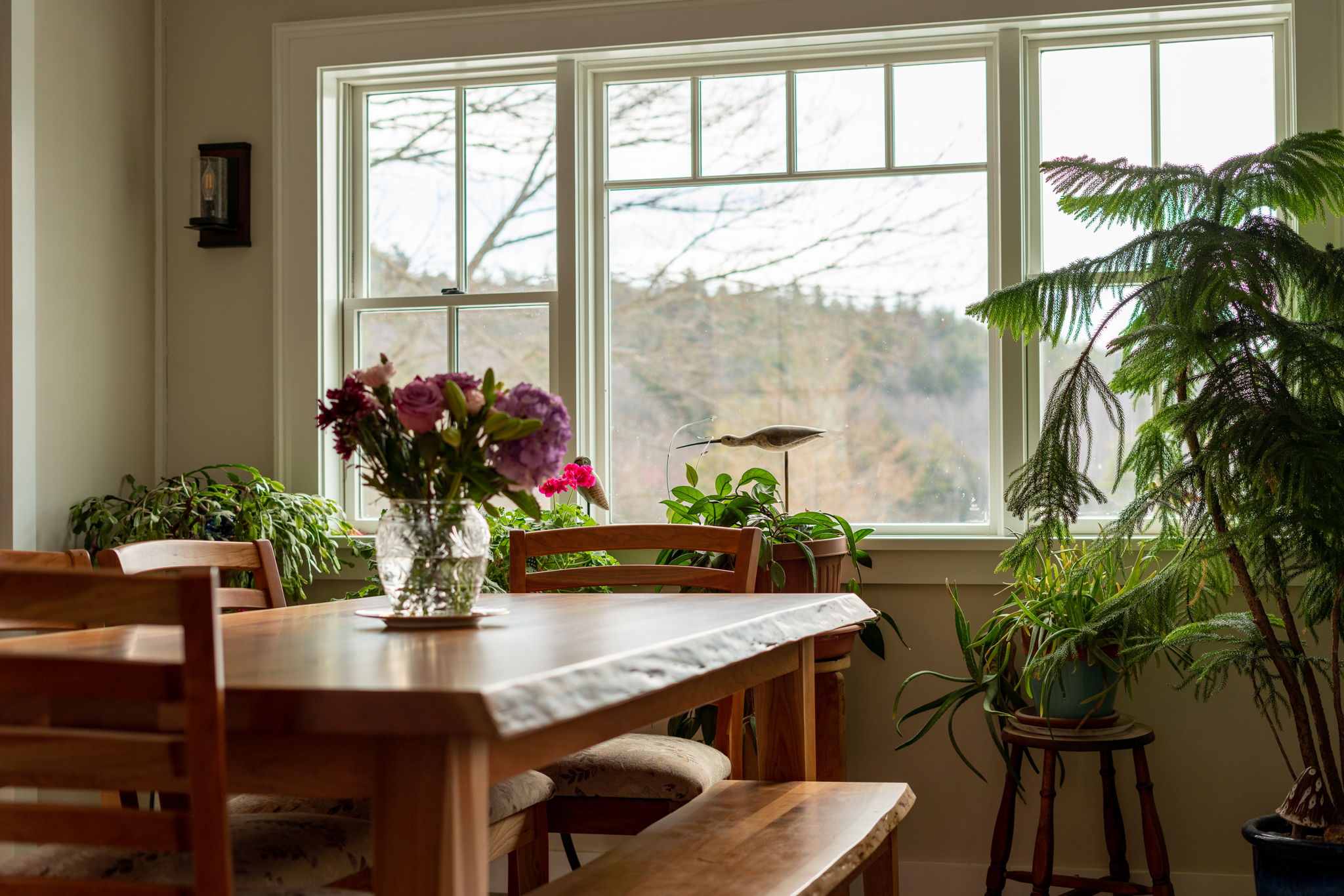 261 Muchado Hill Rd, Alton, NH 03809, US Photo 27