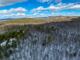 261 Muchado Hill Rd, Alton, NH 03809, US Photo 13