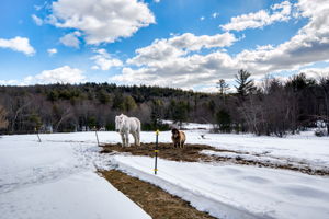 261 Muchado Hill Rd, Alton, NH 03809, US Photo 3
