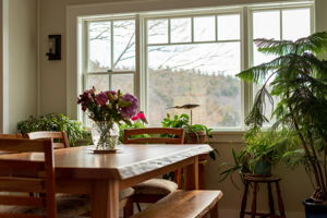 261 Muchado Hill Rd, Alton, NH 03809, US Photo 26