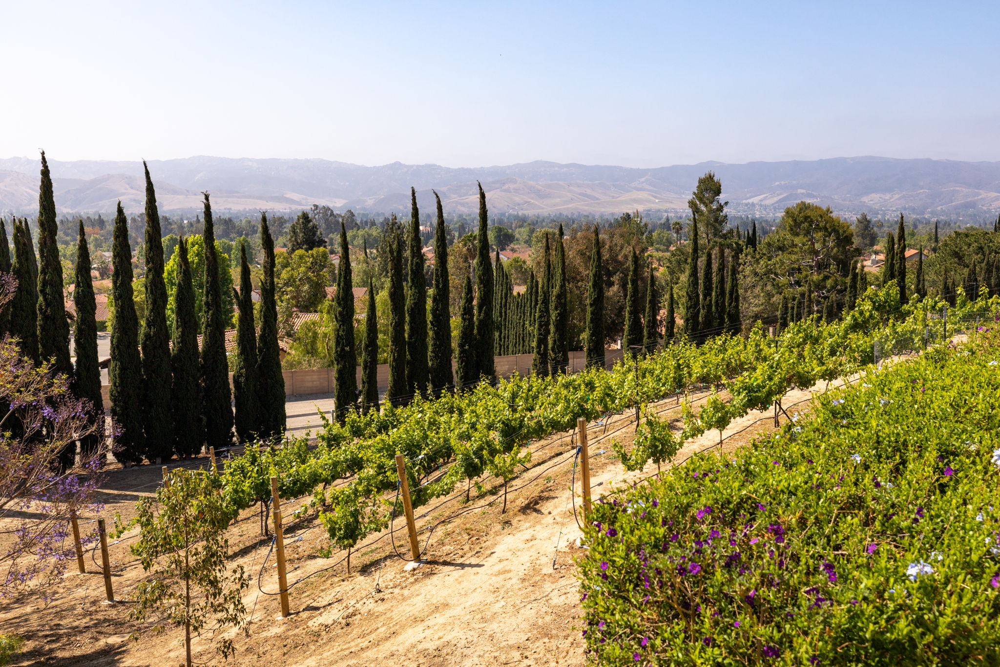 3405 Ditch Rd, Simi Valley, CA 93063, US Photo 6