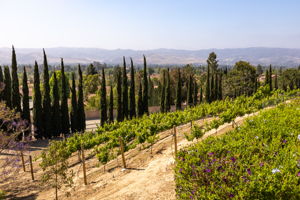 3405 Ditch Rd, Simi Valley, CA 93063, US Photo 5