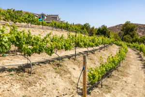 3405 Ditch Rd, Simi Valley, CA 93063, US Photo 4