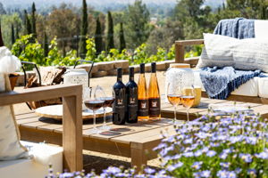 3405 Ditch Rd, Simi Valley, CA 93063, US Photo 14